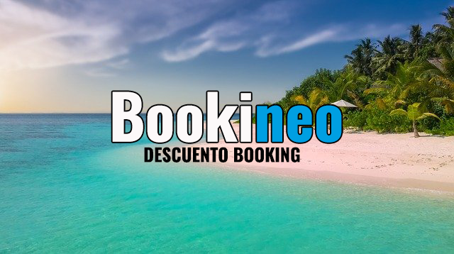 (c) Bookineo.com