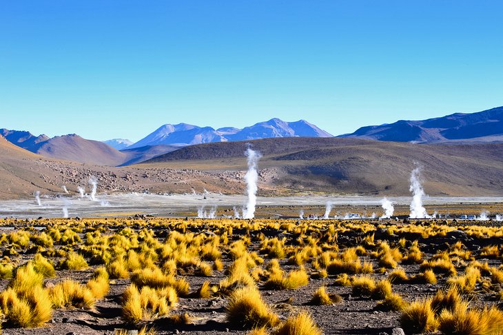Géiseres en el desierto de Atacama, Chile