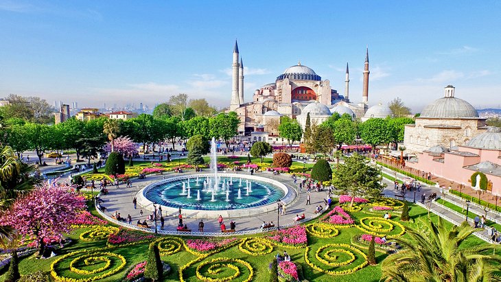 Flores de primavera y la Mezquita Azul de Estambul