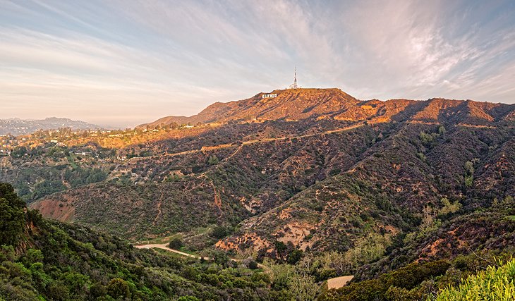 colinas de Hollywood