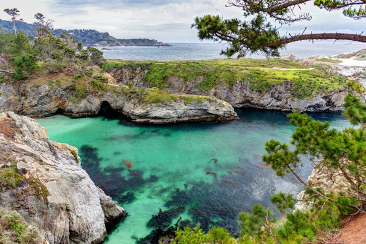 Reserva Natural Estatal Point Lobos