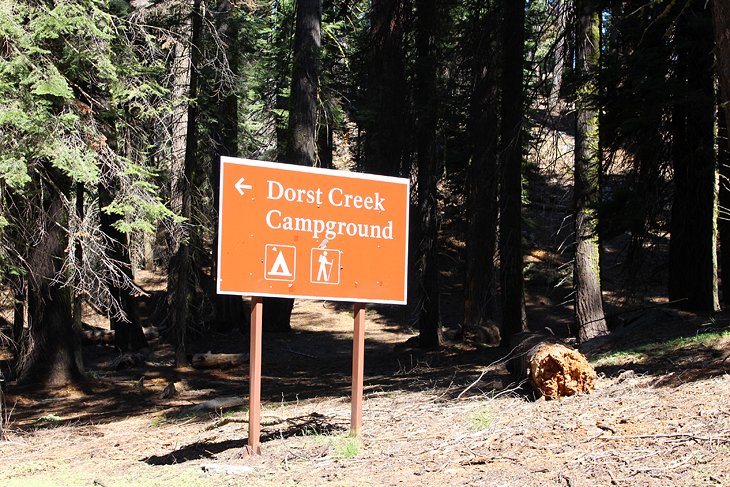 Campamento Dorst Creek