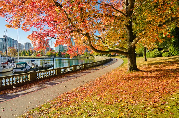 Colores de otoño a lo largo de un sendero en Stanley Park