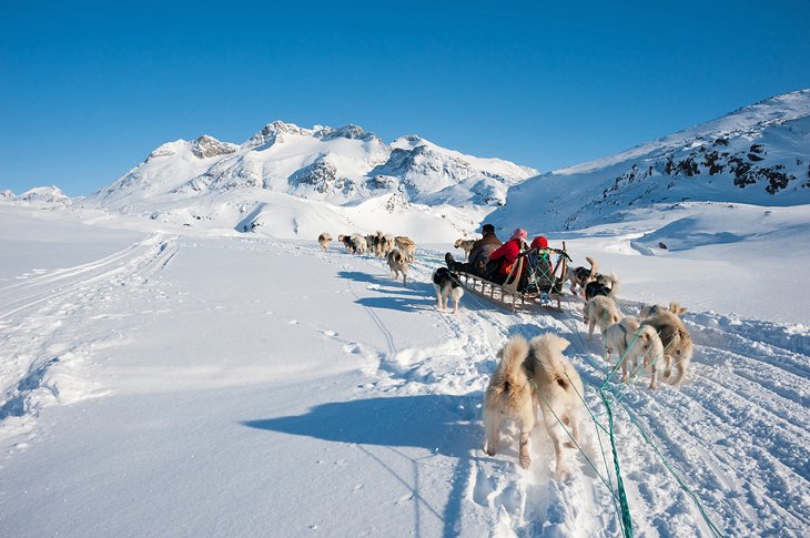 Tour en trineo tirado por perros en Tasiilaq, Groenlandia
