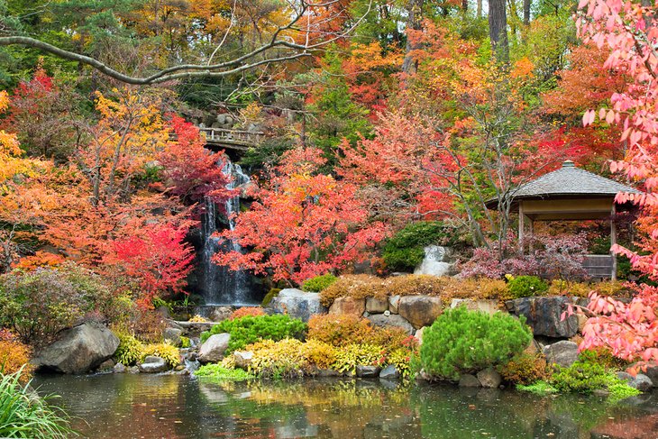 Jardín Japonés Anderson