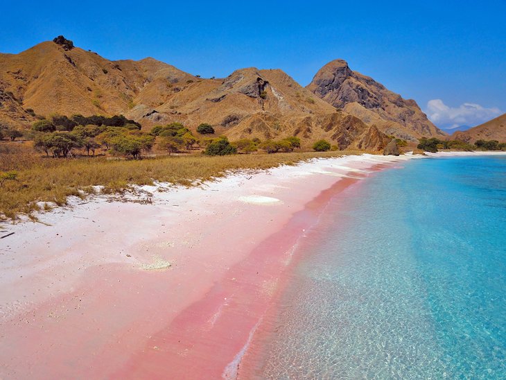 Pink Beach en la isla de Komodo