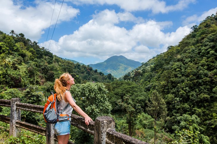 Un excursionista disfrutando de la vista en las Montañas Azules de Jamaica