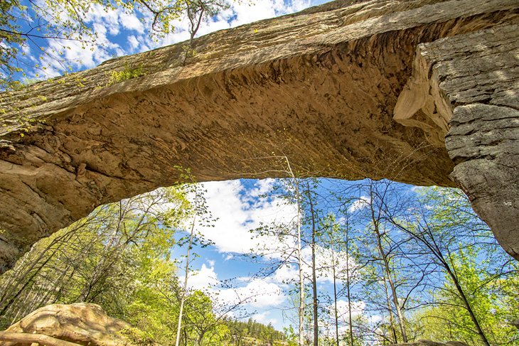 Arco de piedra del puente natural en el Parque Estatal Natural Bridge