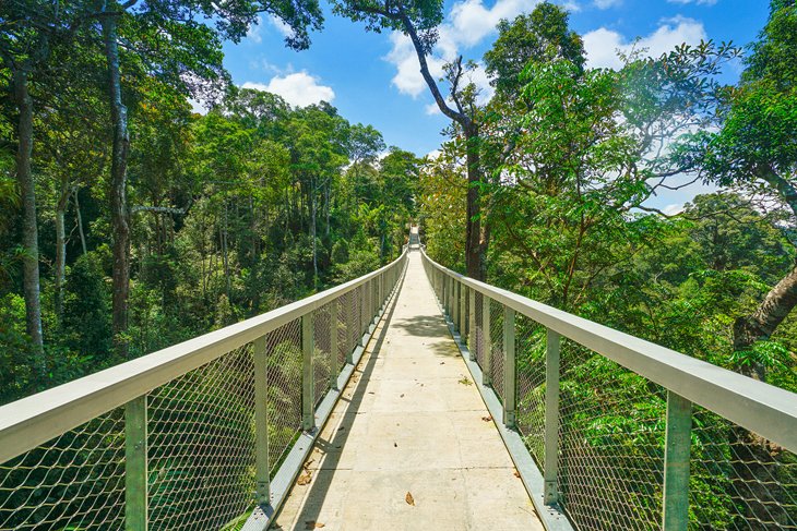 Canopy walk en The Habitat Penang Hill