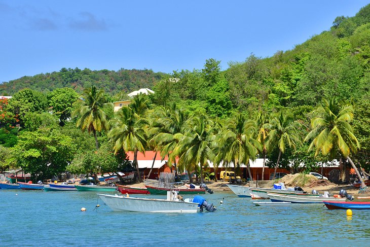 Tartane, Martinica
