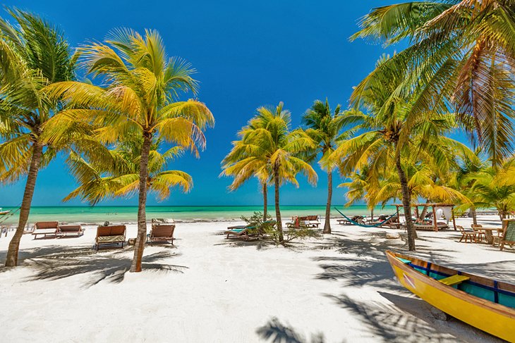 Playa bordeada de palmeras en Isla Holbox