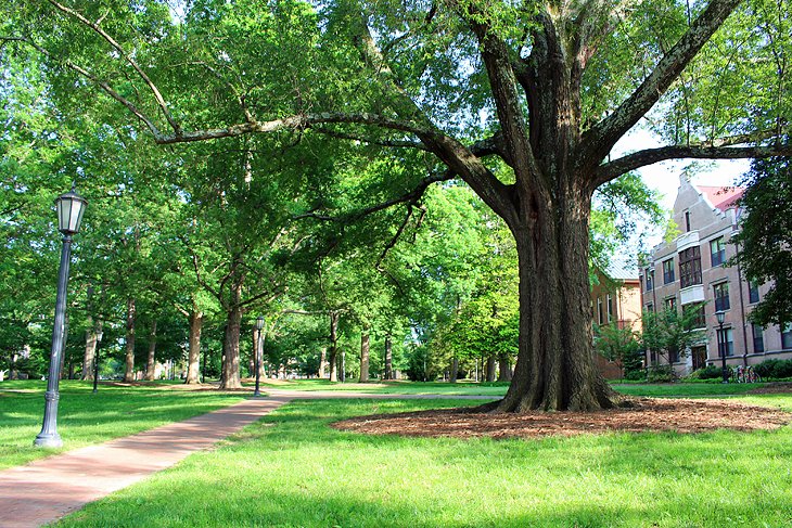 Campus universitario en Chapel Hill