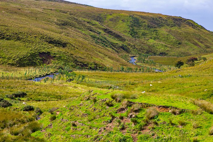 Vistas a la turbera Carn-Glenshane Pass en Sperrins