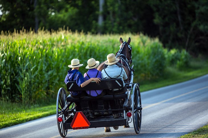 Desvíos del país Amish