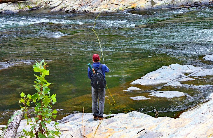 Pescador con mosca en Lower Mountain Fork River