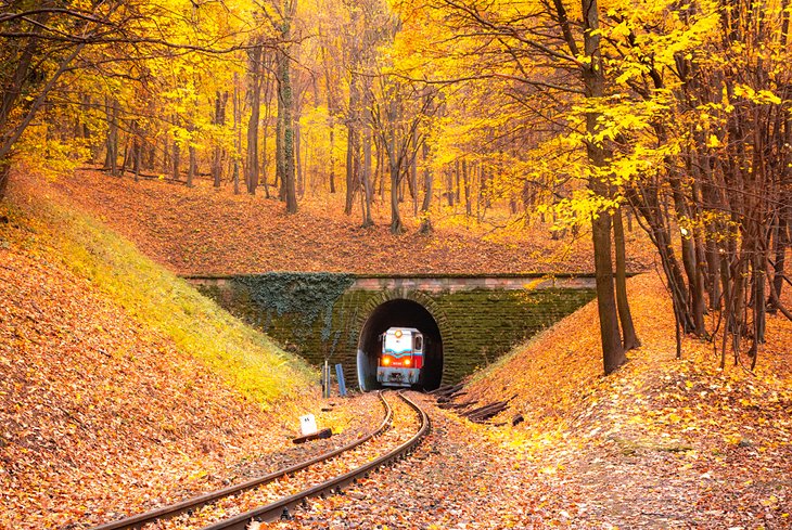 Tren que viaja a través de los bosques húngaros en otoño