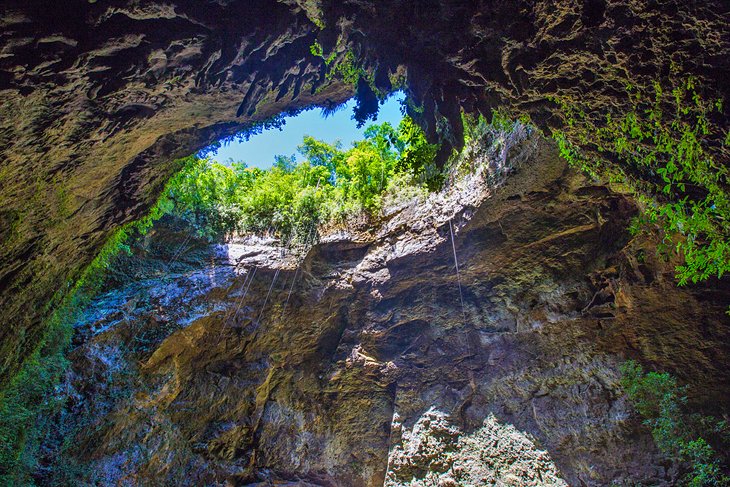 Parque Cueva Río Camuy