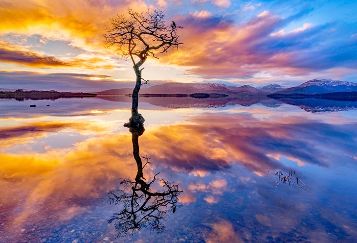 Lone Tree reflejado en Loch Lomond al atardecer