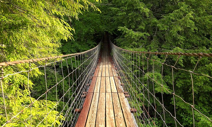 Puente colgante en Fall Creek Falls State Park