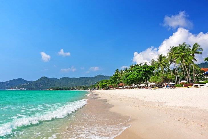 Resorts en Chaweng Beach bordeada de palmeras