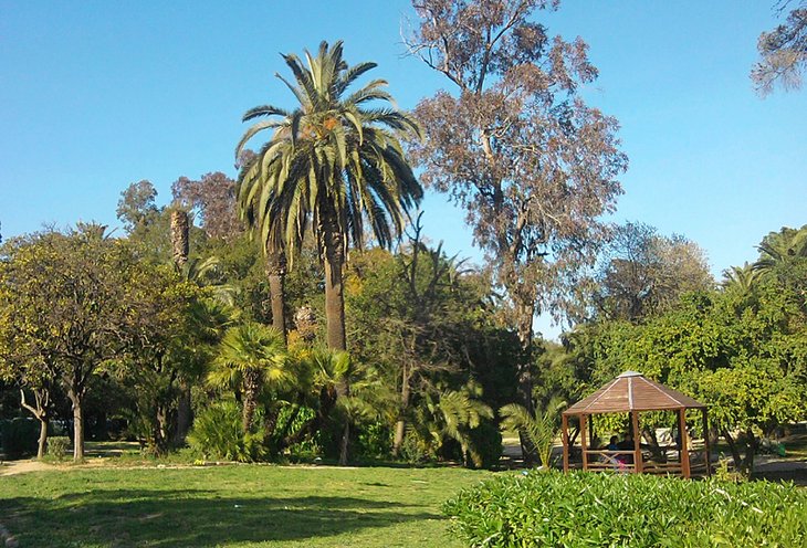 Parque Belvedere en Túnez