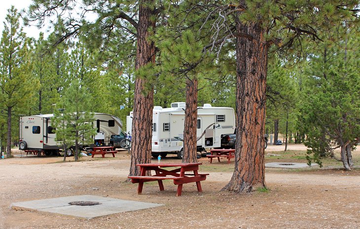 Campamento Bryce Canyon Pines