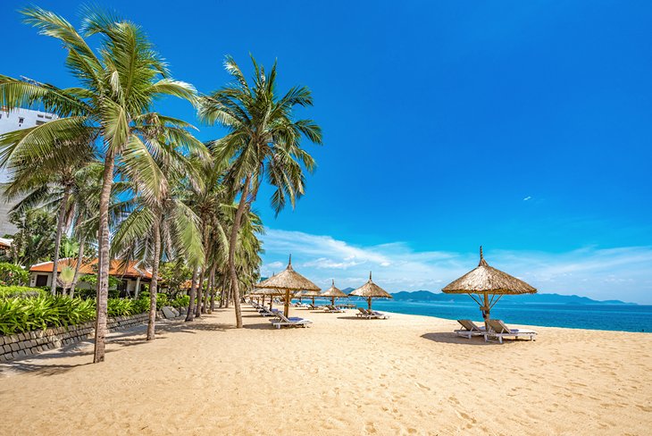Hermosa playa bordeada de palmeras en Nha Trang
