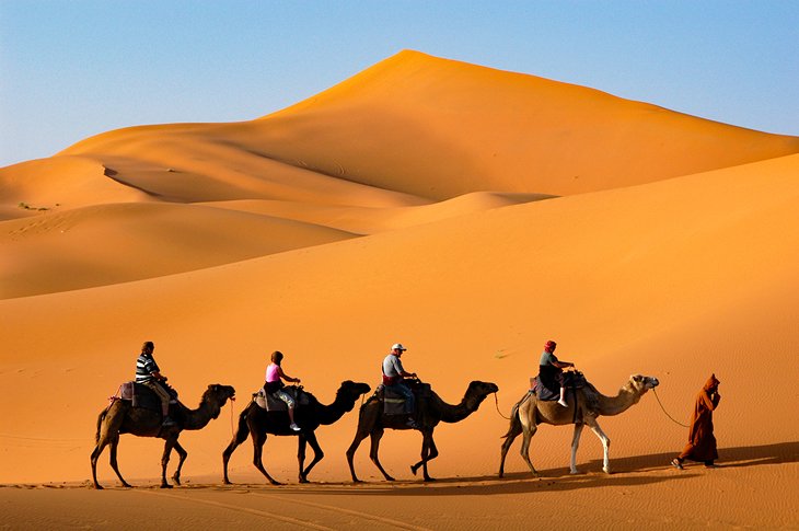 Montar camellos en el desierto del Sahara