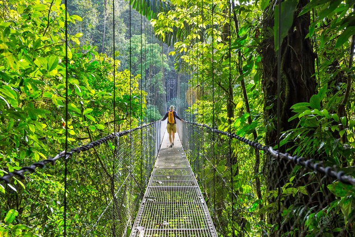 Caminata en la selva costarricense