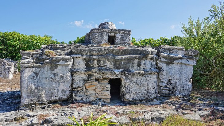 Sitio maya El Cedral