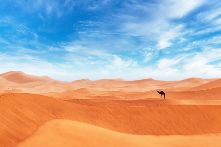 Campo de dunas de Erg Chigiga