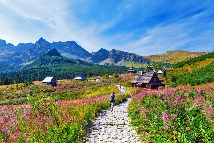 Camino a través del valle de Gasienicowa en las montañas Tatra