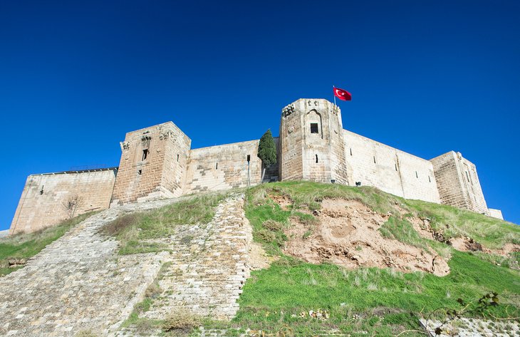 Col rizada de Gaziantep (castillo)